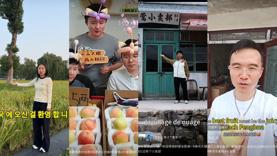 图片 3.png 图片 3.png